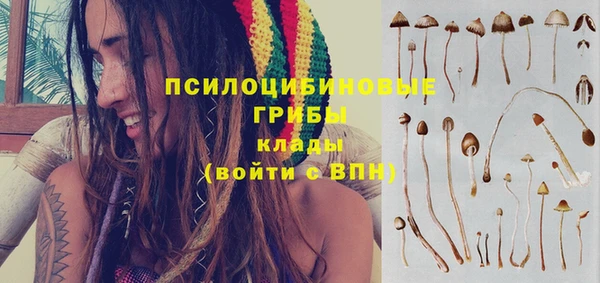 таблы Медвежьегорск
