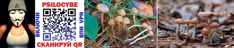 Галлюциногенные грибы Magic Shrooms  купить наркотики сайты  Великий Новгород 